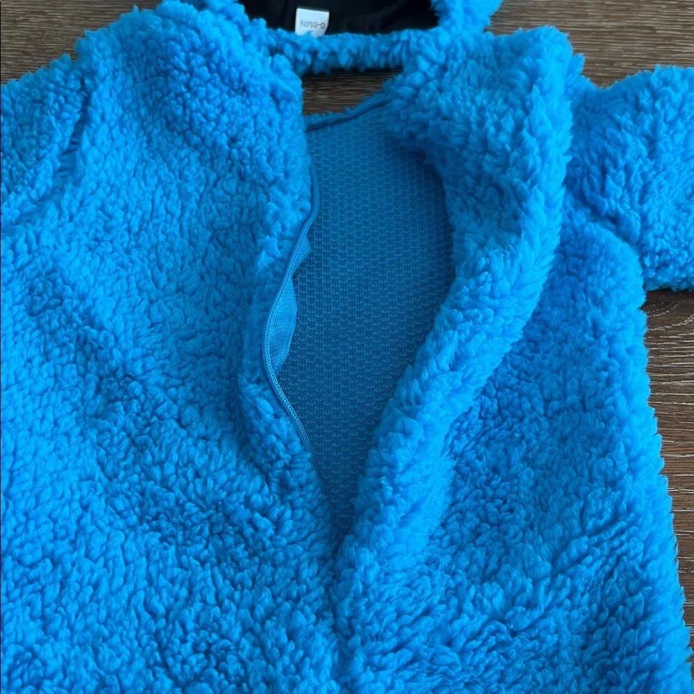 Sesame Street Cookie Monster costume